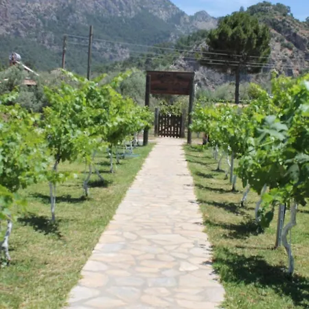 住宿加早餐酒店 宁静山谷住宿加早餐旅馆