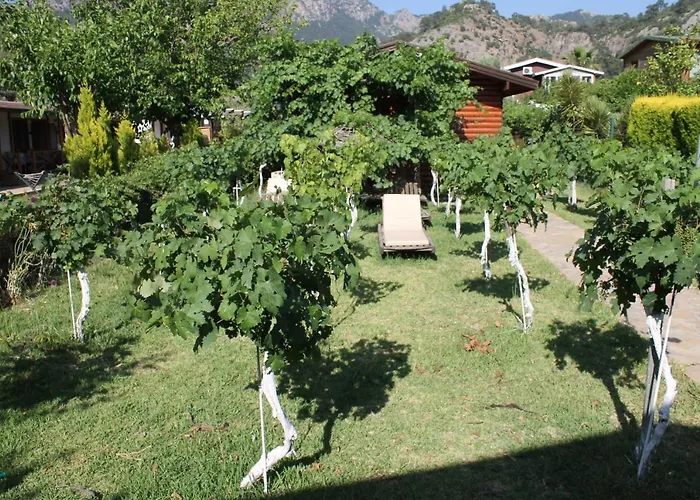 Sakin Vadi Winehouse 3* Orhaniye (Marmaris)