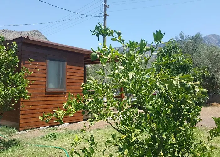 Alojamento de Acomodação e Pequeno-almoço Sakin Vadi Winehouse 3*