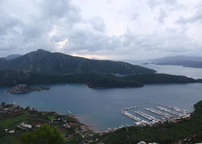 Sakin Vadi Winehouse