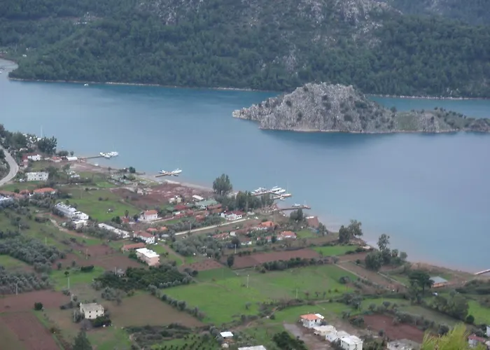 Sakin Vadi Winehouse