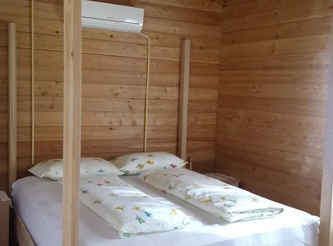 B&B Sakin Vadi Winehouse