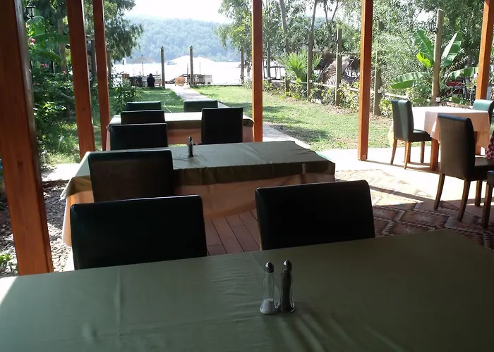 Sakin Vadi Winehouse 3*