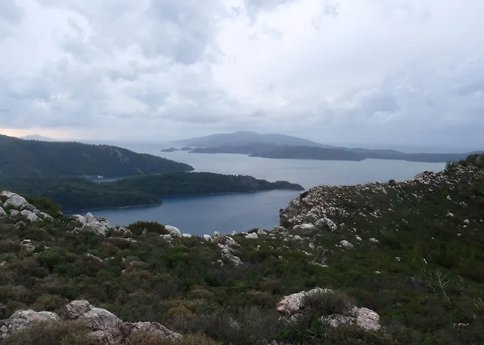 Sakin Vadi Winehouse