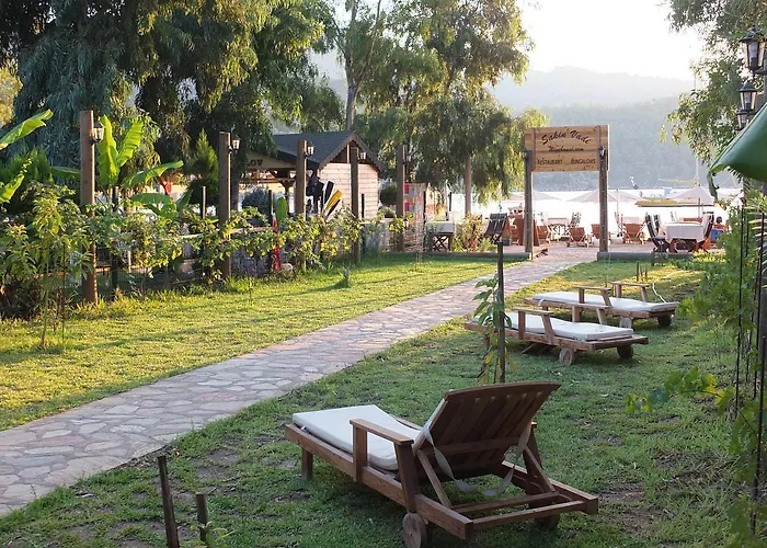 Sakin Vadi Winehouse B&B