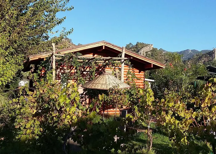 Alojamento de Acomodação e Pequeno-almoço Sakin Vadi Winehouse