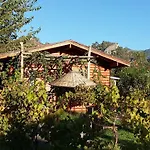 Bed & Breakfast Sakin Vadi Winehouse