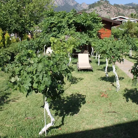 Sakin Vadi Winehouse 3* Orhaniye (Marmaris)