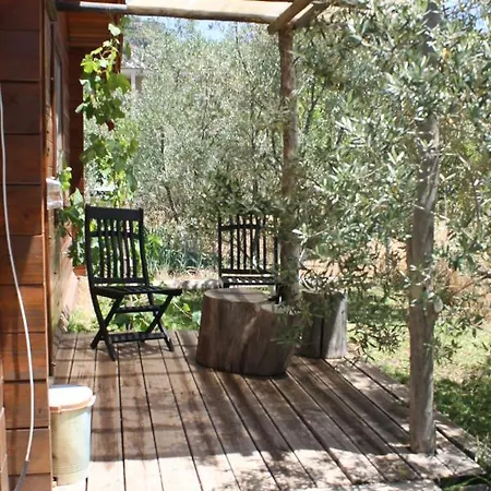 宁静山谷住宿加早餐旅馆 4* Orhaniye (Marmaris)