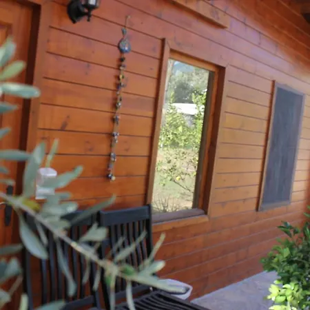 Sakin Vadi Winehouse 3* Orhaniye (Marmaris)