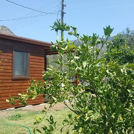 Bed & Breakfast Sakin Vadi Winehouse 4*