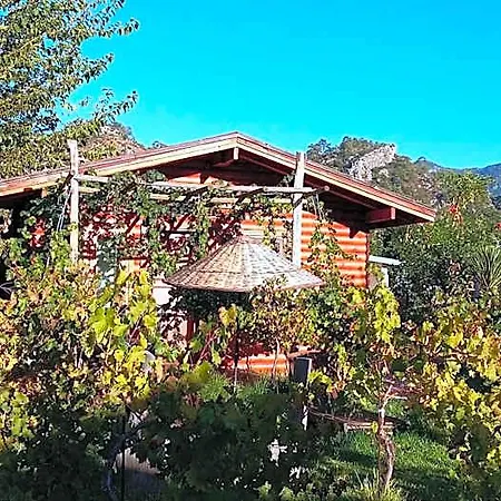 宁静山谷住宿加早餐旅馆 Orhaniye (Marmaris)