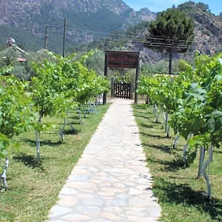 宁静山谷住宿加早餐旅馆 Orhaniye (Marmaris)