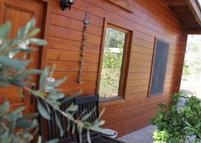 Sakin Vadi Winehouse 3* Орхание