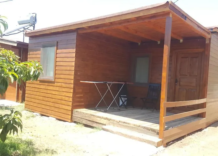 Sakin Vadi Winehouse Орхание